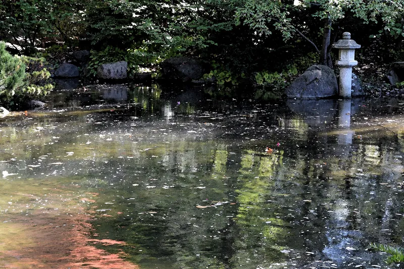 Water garden at Anderson Japanese Gardens in Rockford