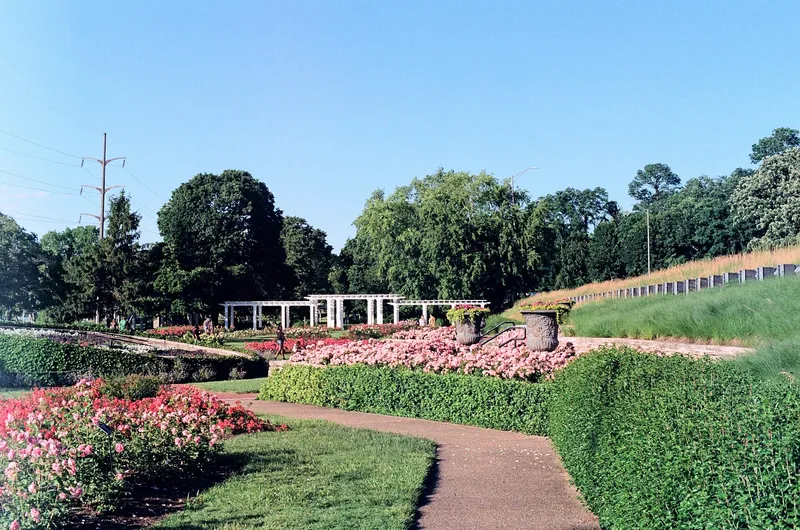 Rose gardens in Rockford's Sinnissippi Park